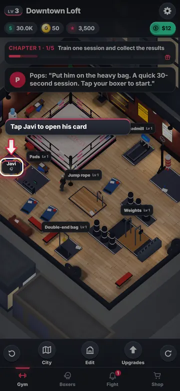 El gimnasio donde entrenan tus boxeadores